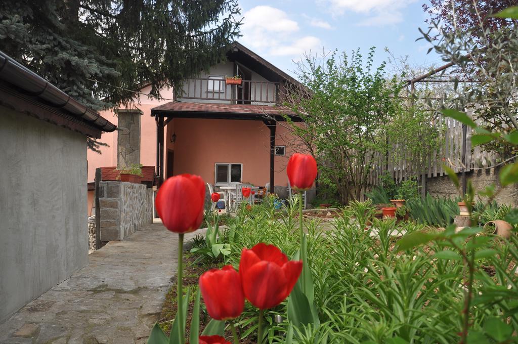 Holiday Home Vilata Kŭrdzhali エクステリア 写真